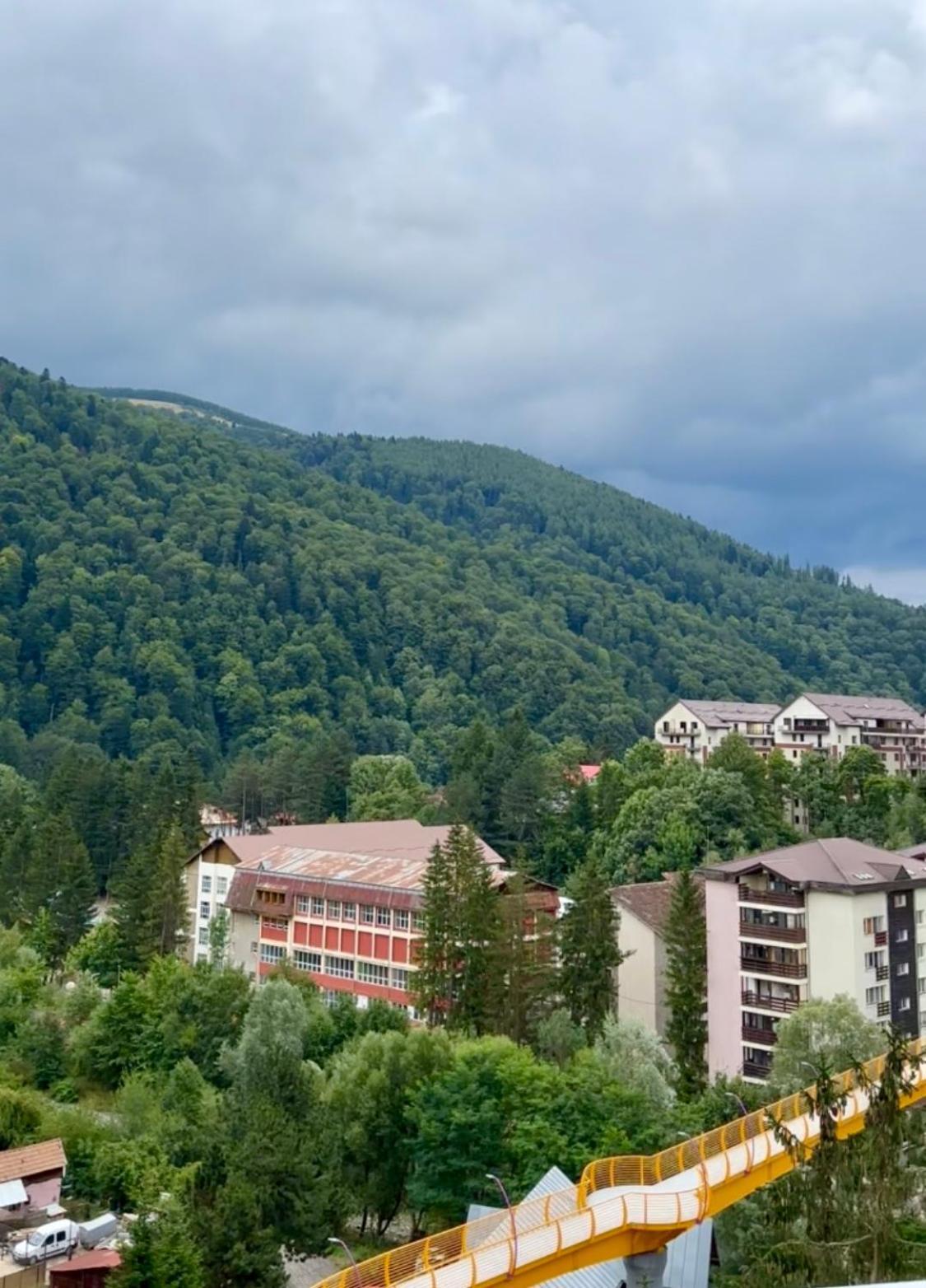 Alpine Line Studio Sinaia Exterior photo